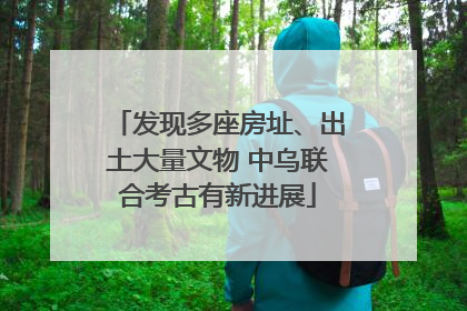 发现多座房址、出土大量文物 中乌联合考古有新进展