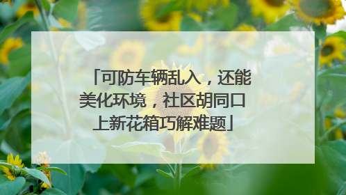 可防车辆乱入，还能美化环境，社区胡同口上新花箱巧解难题