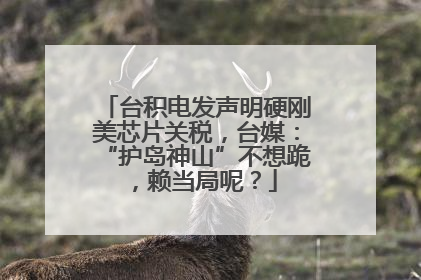 台积电发声明硬刚美芯片关税，台媒：“护岛神山”不想跪，赖当局呢？