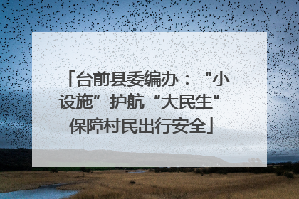 台前县委编办：“小设施”护航“大民生” 保障村民出行安全