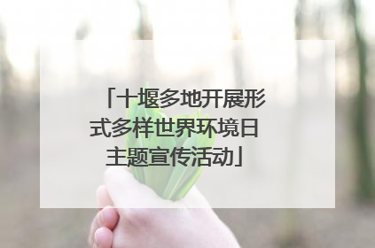 十堰多地开展形式多样世界环境日主题宣传活动