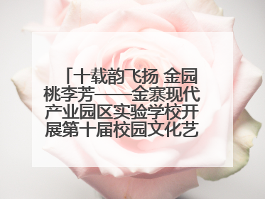 十载韵飞扬 金园桃李芳——金寨现代产业园区实验学校开展第十届校园文化艺术节暨庆“六一”系列活动