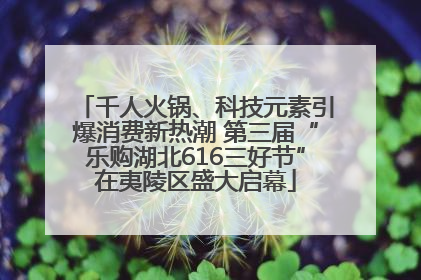 千人火锅、科技元素引爆消费新热潮 第三届“乐购湖北616三好节”在夷陵区盛大启幕