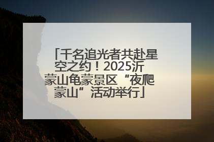 千名追光者共赴星空之约！2025沂蒙山龟蒙景区“夜爬蒙山”活动举行
