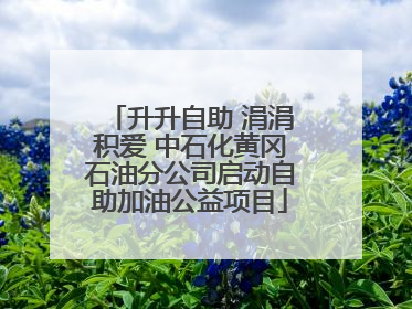 升升自助 涓涓积爱 中石化黄冈石油分公司启动自助加油公益项目