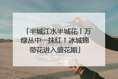 半城江水半城花丨万绿丛中一抹红！冰城锦带花进入盛花期