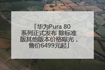 华为Pura 80系列正式发布 除标准版其他版本价格曝光，售价6499元起