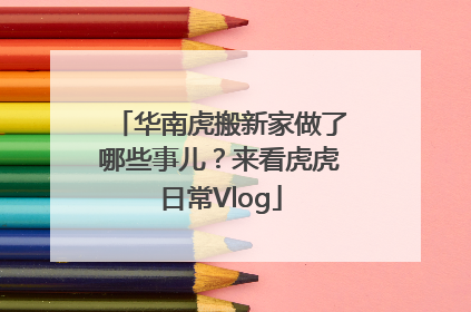 华南虎搬新家做了哪些事儿？来看虎虎日常Vlog