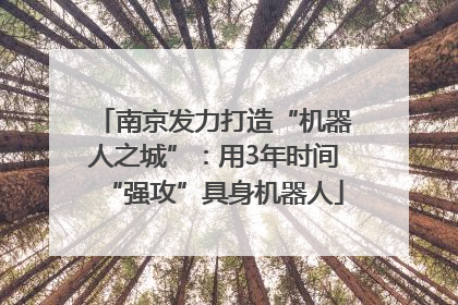 南京发力打造“机器人之城”：用3年时间“强攻”具身机器人