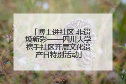 博士进社区 非遗焕新彩——四川大学携手社区开展文化遗产日特别活动