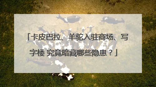 卡皮巴拉、羊驼入驻商场、写字楼 究竟暗藏哪些隐患？