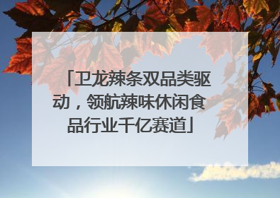 卫龙辣条双品类驱动，领航辣味休闲食品行业千亿赛道