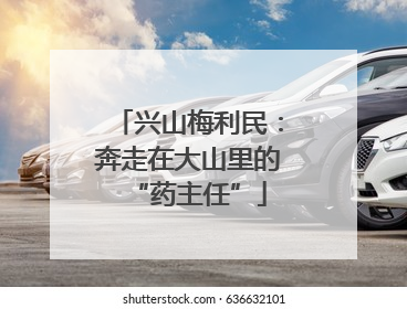兴山梅利民：奔走在大山里的“药主任”