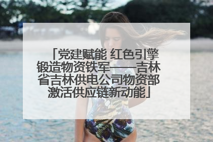 党建赋能 红色引擎锻造物资铁军——吉林省吉林供电公司物资部激活供应链新动能