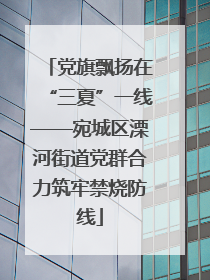 党旗飘扬在“三夏”一线——宛城区溧河街道党群合力筑牢禁烧防线
