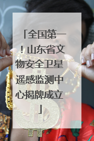 全国第一！山东省文物安全卫星遥感监测中心揭牌成立