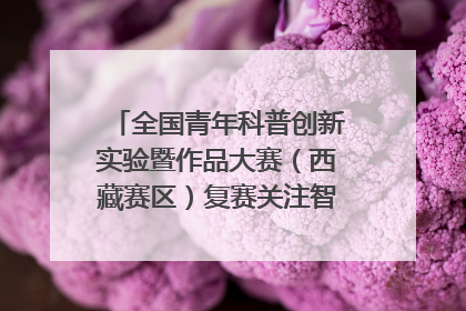 全国青年科普创新实验暨作品大赛（西藏赛区）复赛关注智慧环保等主题