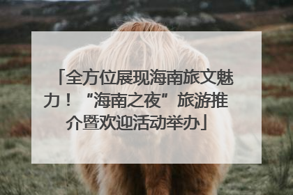 全方位展现海南旅文魅力！“海南之夜”旅游推介暨欢迎活动举办