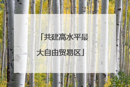 共建高水平最大自由贸易区
