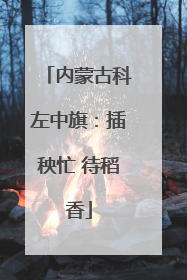 内蒙古科左中旗：插秧忙 待稻香