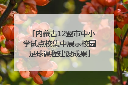 内蒙古12盟市中小学试点校集中展示校园足球课程建设成果