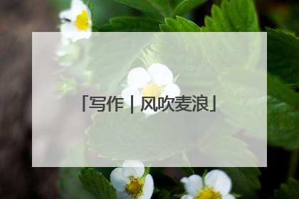 写作｜风吹麦浪