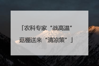 农科专家“战高温” 菇棚送来“清凉策”