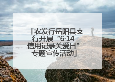 农发行岳阳县支行开展“6·14信用记录关爱日” 专题宣传活动