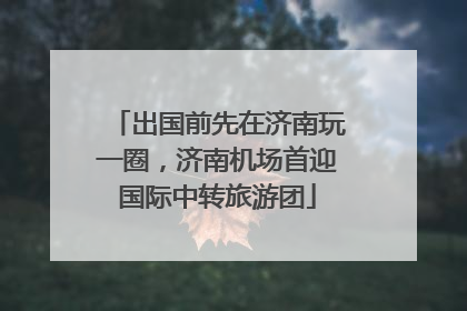 出国前先在济南玩一圈，济南机场首迎国际中转旅游团