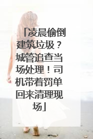 凌晨偷倒建筑垃圾？城管追查当场处理！司机带着罚单回来清理现场