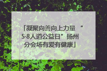 凝聚向善向上力量 “5·8人道公益日”扬州分会场有爱有健康