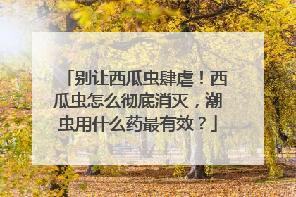 别让西瓜虫肆虐！西瓜虫怎么彻底消灭，潮虫用什么药最有效？