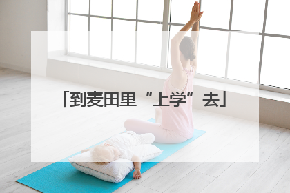 到麦田里“上学”去