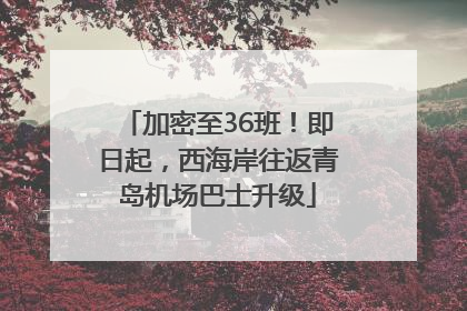 加密至36班！即日起，西海岸往返青岛机场巴士升级