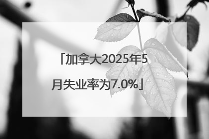 加拿大2025年5月失业率为7.0%