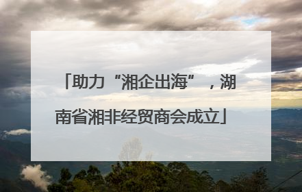 助力“湘企出海”，湖南省湘非经贸商会成立