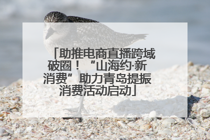 助推电商直播跨域破圈！“山海约·新消费”助力青岛提振消费活动启动