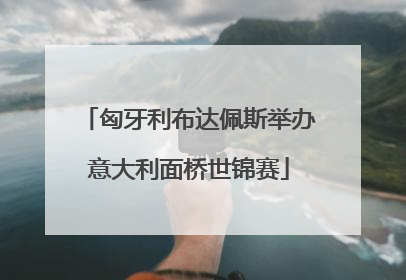 匈牙利布达佩斯举办意大利面桥世锦赛