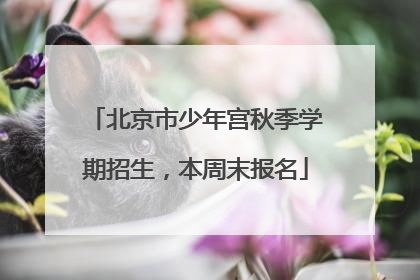 北京市少年宫秋季学期招生，本周末报名