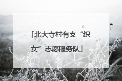 北大寺村有支“织女”志愿服务队