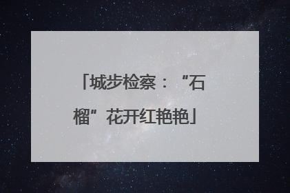 城步检察：“石榴”花开红艳艳