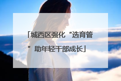 城西区强化“选育管”助年轻干部成长