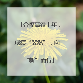 合福高铁十年：成绩“斐然”，向“新”而行