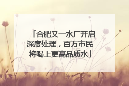合肥又一水厂开启深度处理，百万市民将喝上更高品质水