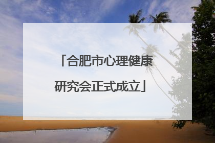 合肥市心理健康研究会正式成立