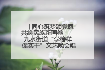 同心筑梦颂党恩 共绘民族新画卷——九水街道“学榜样 促实干”文艺晚会唱响民族团结主旋律