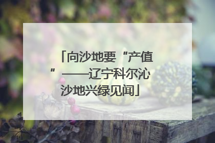向沙地要“产值”——辽宁科尔沁沙地兴绿见闻