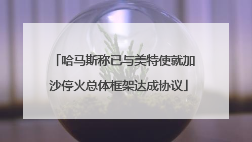 哈马斯称已与美特使就加沙停火总体框架达成协议