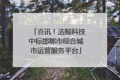 喜讯！浩鲸科技中标邯郸市综合城市运营服务平台