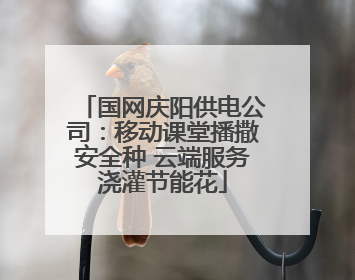 国网庆阳供电公司：移动课堂播撒安全种 云端服务浇灌节能花